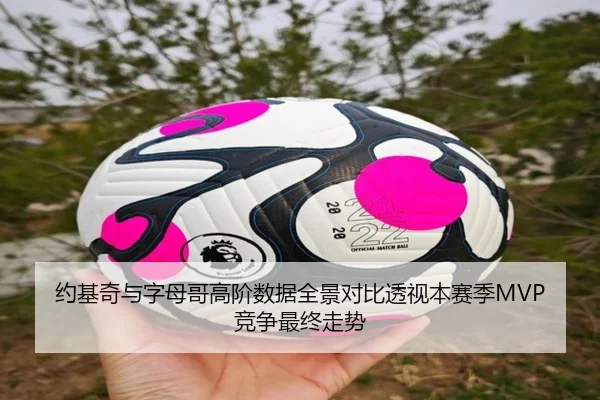 约基奇与字母哥高阶数据全景对比透视本赛季MVP竞争最终走势